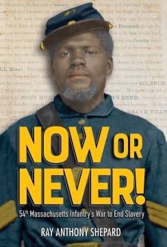 Now or Never! book cover Now or Never! book cover